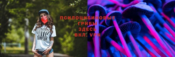 круглые Богородицк