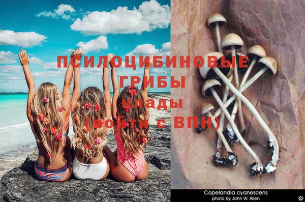 не бодяженный Богданович