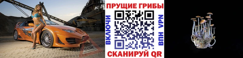 Купить закладки  Бодайбо  Галлюциногенные грибы мухоморы 