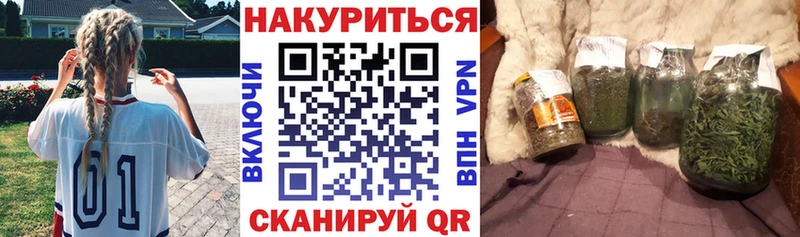 Купить где Бодайбо Бошки марихуана сатива